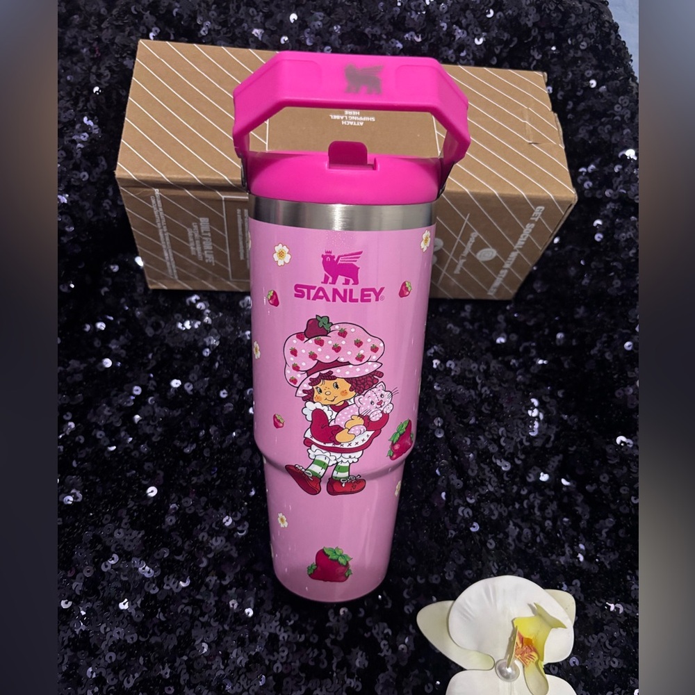 Stanley Pink Strawberry Character Kids Tumbler with Handle